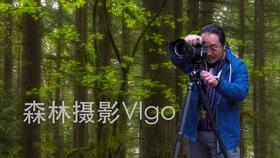 极限竞速地平线3