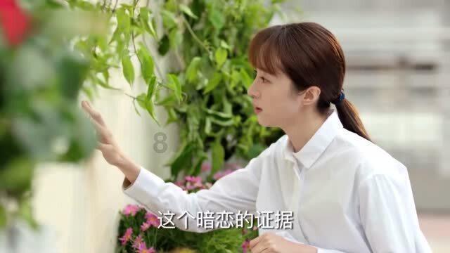 上海探索流浪动物精细化管理:根本上仍需惩罚杜绝弃养